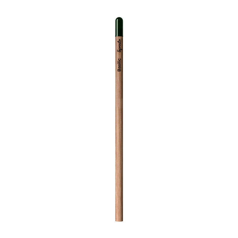 Sprout™ | Bleistift