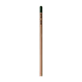 Sprout™ | Bleistift