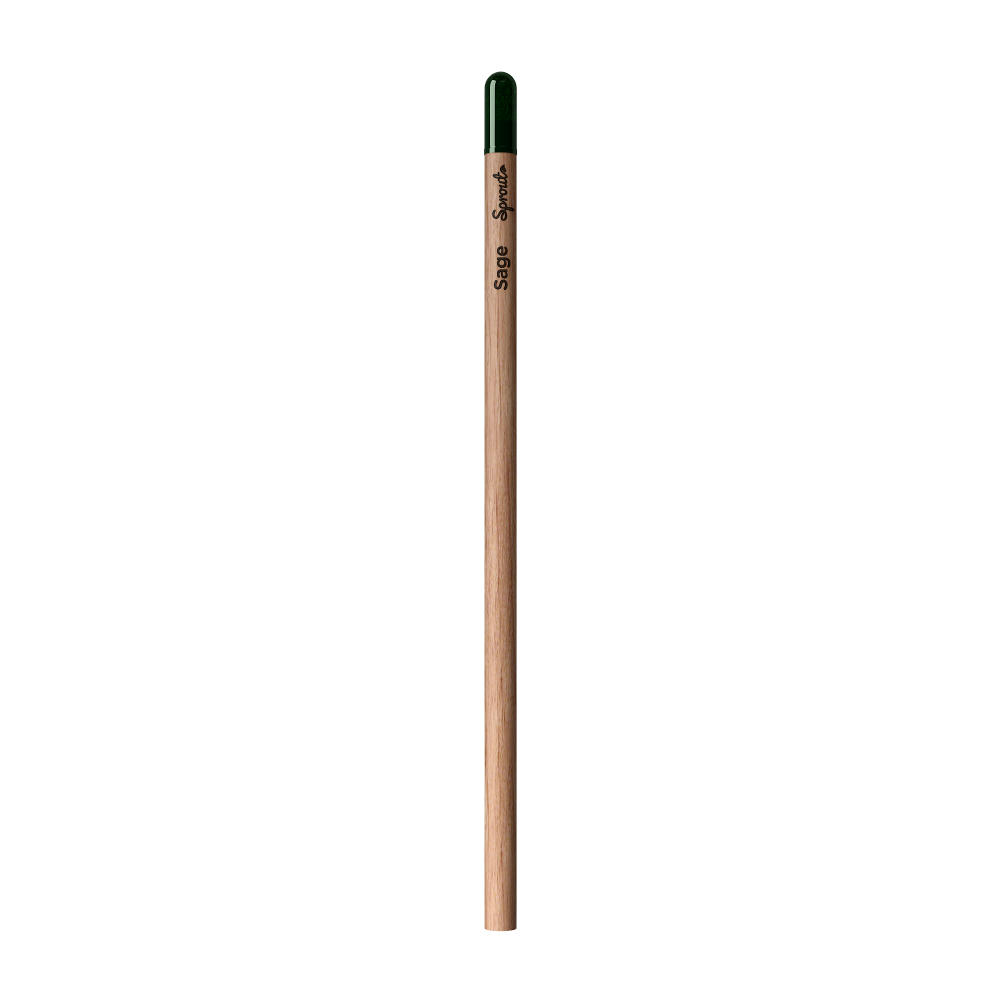 Sprout™ | Bleistift