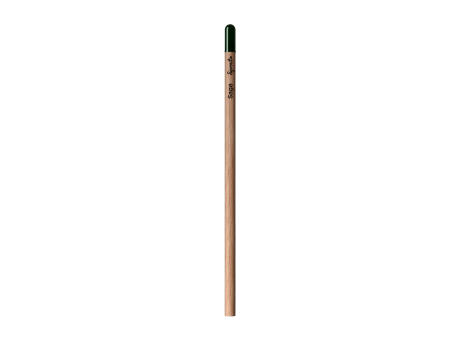 Sprout™ | Bleistift