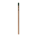 Sprout™ | Bleistift