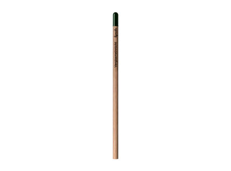 Sprout™ | Bleistift