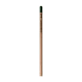 Sprout™ | Bleistift