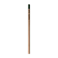 Sprout™ | Bleistift