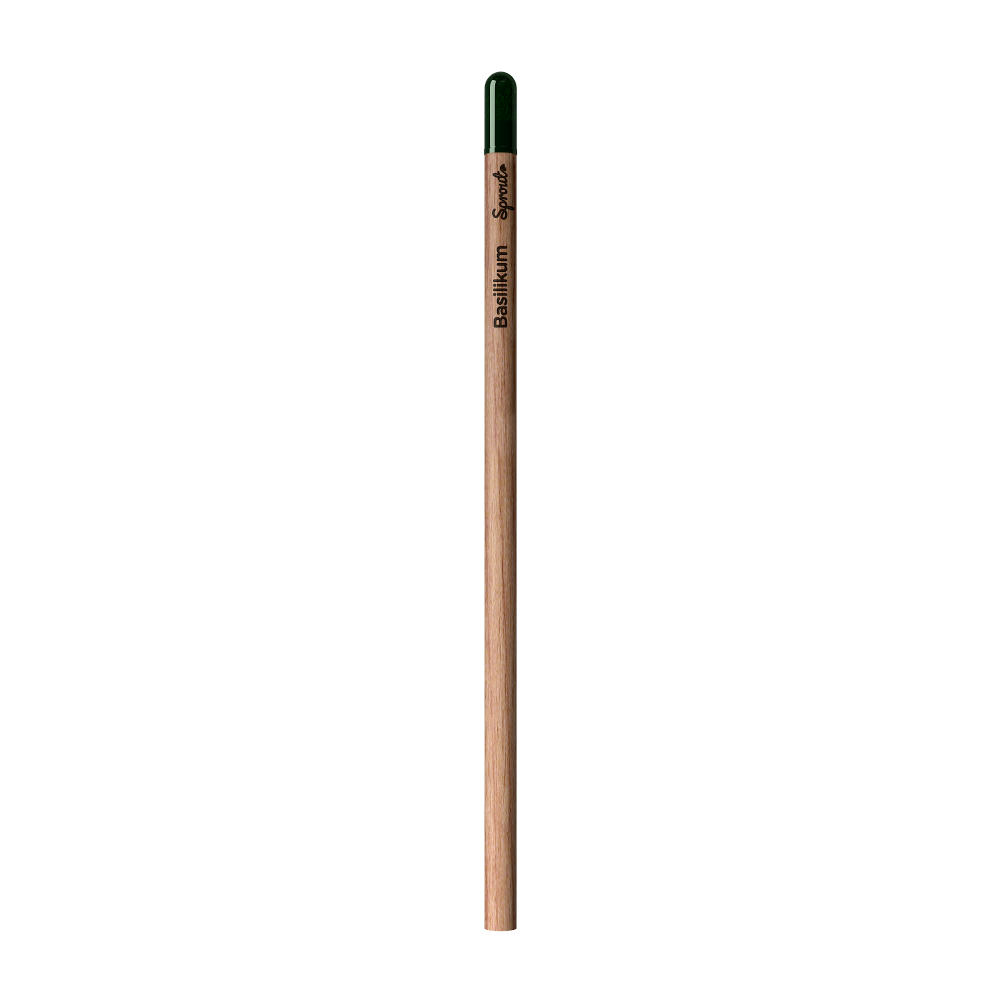 Sprout™ | Bleistift