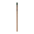 Sprout™ | Bleistift