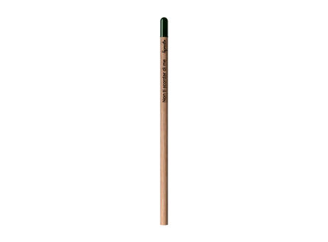 Sprout™ | Bleistift