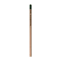 Sprout™ | Bleistift