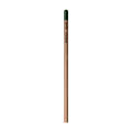 Sprout™ | Bleistift
