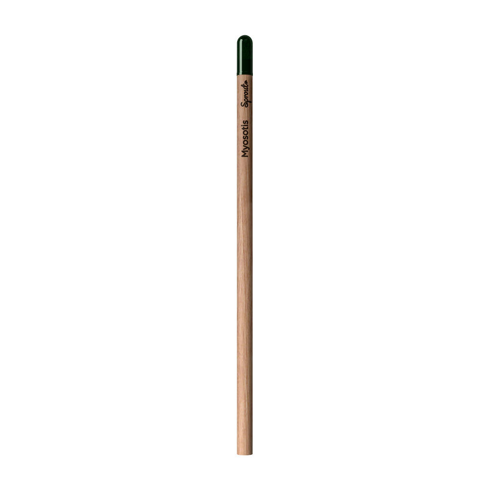 Sprout™ | Bleistift