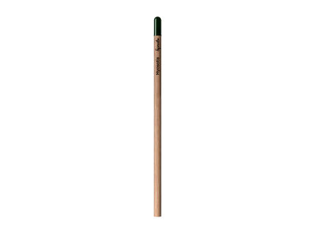 Sprout™ | Bleistift