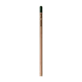 Sprout™ | Bleistift