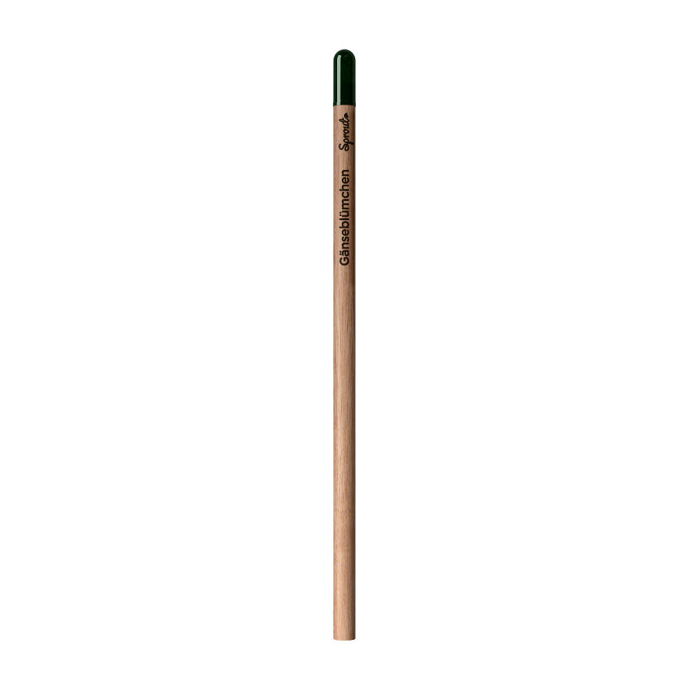 Sprout™ | Bleistift