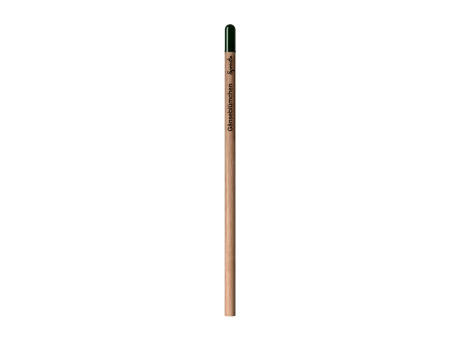 Sprout™ | Bleistift