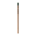 Sprout™ | Bleistift