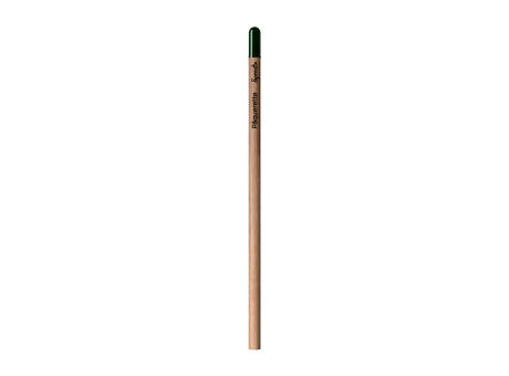 Sprout™ | Bleistift