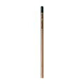 Sprout™ | Bleistift