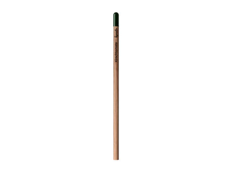 Sprout™ | Bleistift