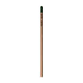 Sprout™ | Bleistift