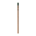Sprout™ | Bleistift