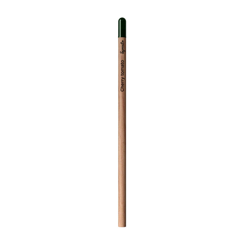 Sprout™ | Bleistift