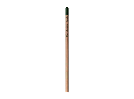 Sprout™ | Bleistift