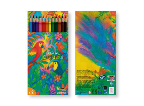 BIC® Kids Evolution® Colouring set x 12 units - Box
