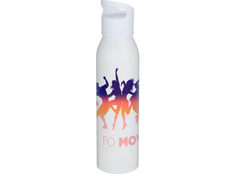 Botella de 650 ml de acero inoxidable reciclado con certificado RCS de una sola pared Sky