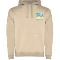 Sudadera con capucha para hombre de 280 g/m² Urban