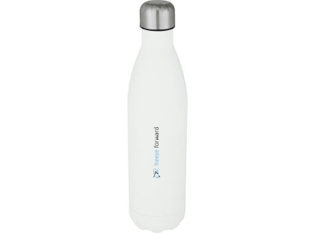 Botella de acero inoxidable con aislamiento al vacío de 750 ml Cove