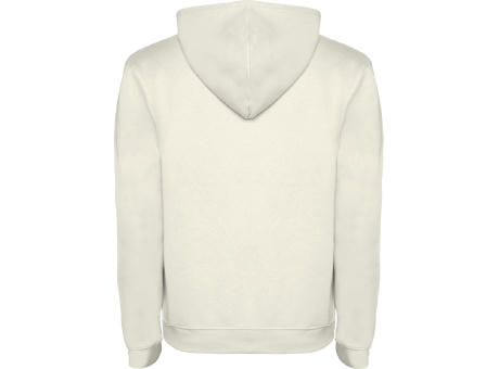 Sudadera con capucha para hombre de 280 g/m² Urban