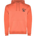 Sudadera con capucha para hombre de 280 g/m² Urban