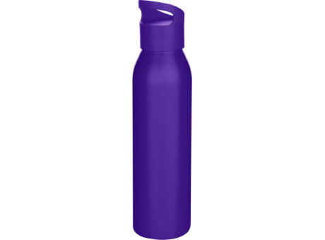 Botella de 650 ml de acero inoxidable reciclado con certificado RCS de una sola pared Sky