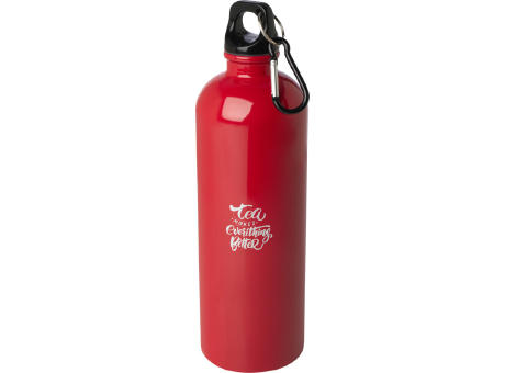 Bidón de 750 ml de acero inoxidable con certificado RCS con mosquetón Oregon