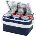 Bolsa isotérmica para 6 latas Spectrum