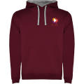 Sudadera con capucha para hombre de 280 g/m² Urban