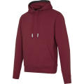Sudadera con capucha unisex de 300 g/m² Arora