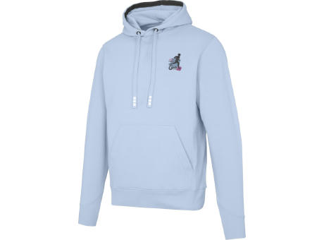 Sudadera con capucha unisex de 300 g/m² Arora