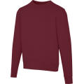 Sudadera unisex de cuello redondo de 300 g/m² Arora