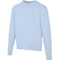 Sudadera unisex de cuello redondo de 300 g/m² Arora