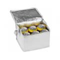 Bolsa de refrigeración Non Woven Nieby