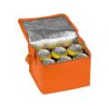 Bolsa de refrigeración Non Woven Nieby