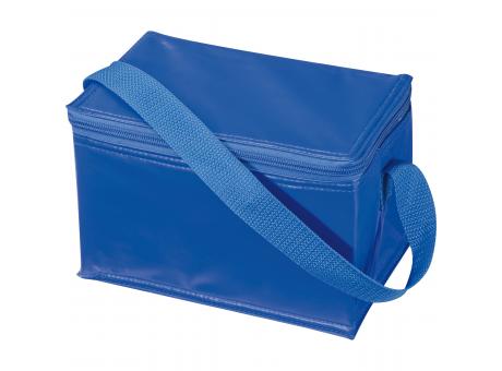 Nevera portátil para 6 latas.