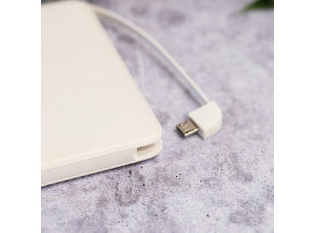 Powerbank Luxury Thin 3 in 1