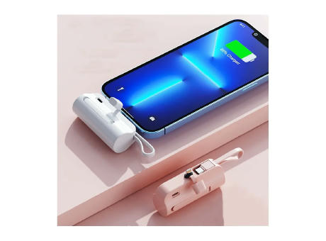 DualPort PowerBank