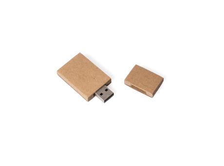 LeafLink USB Stick