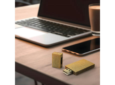 LeafLink USB Stick