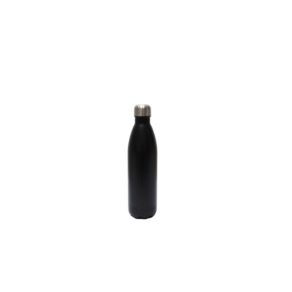 SteelSip Bottle