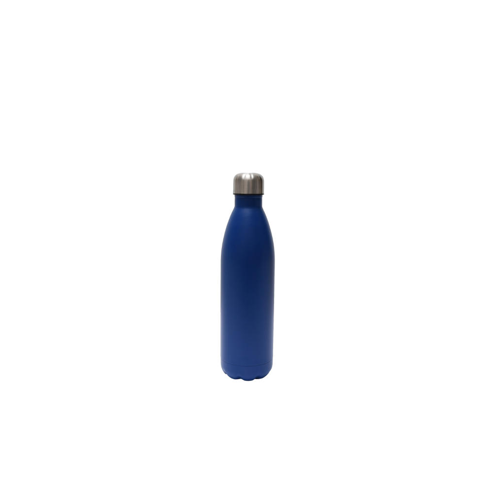 SteelSip Bottle