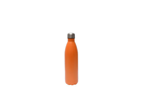 SteelSip Bottle